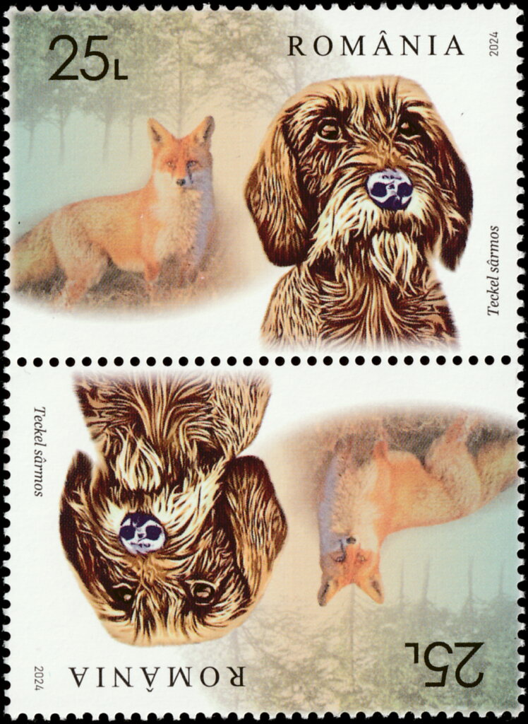Wirehaired Dachshund and Fox