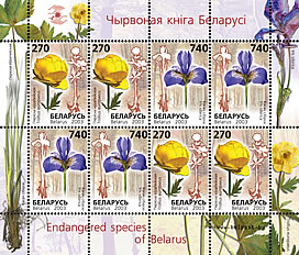 Sheetlet Rare flowers of Belarus (2 stamps)