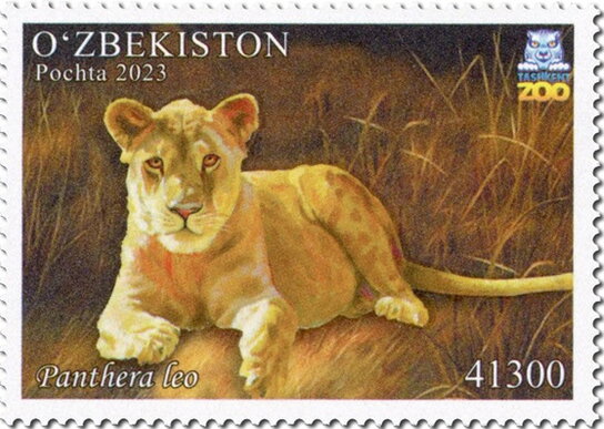 Panthera leo
