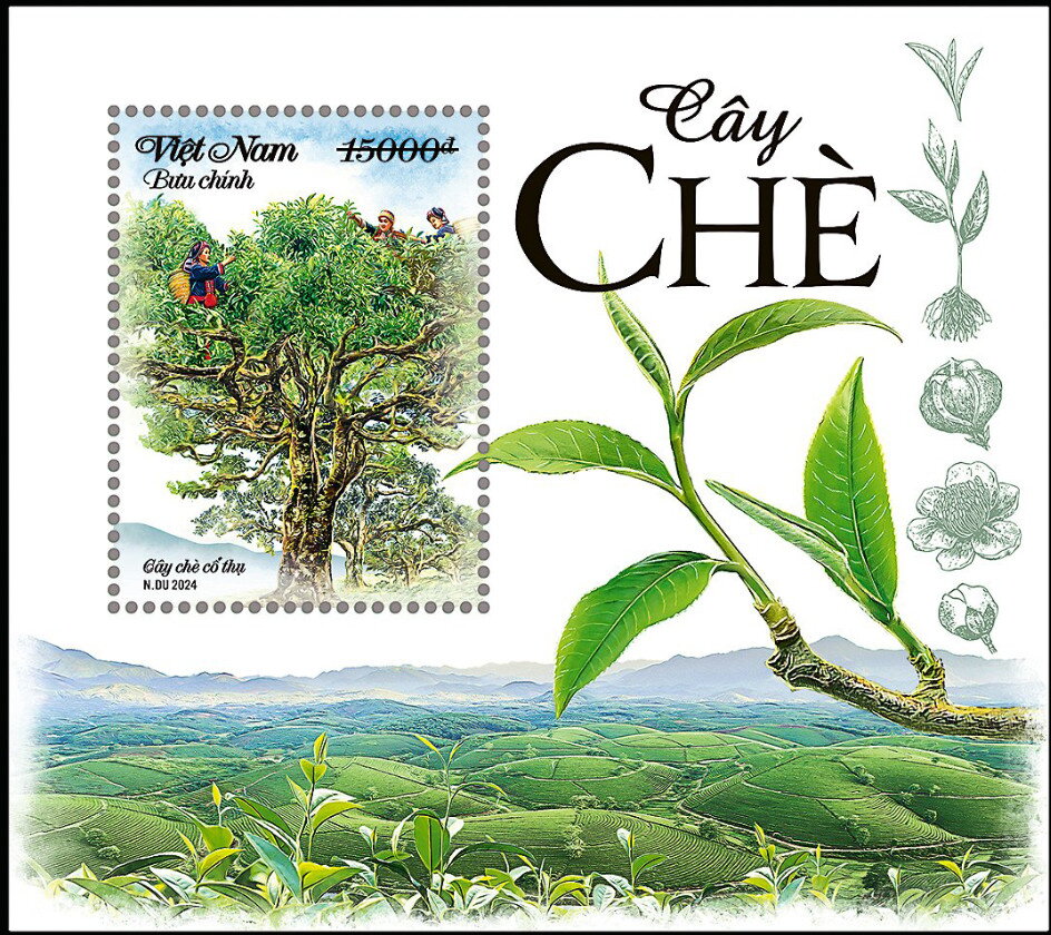 Tea Tree