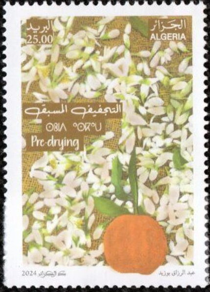 Drying Blossoms