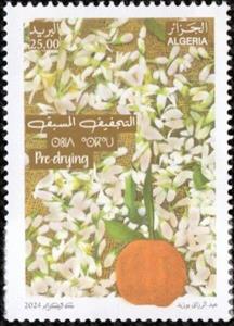 Stamp, Drying Blossoms, Algeria,  , Agriculture, Flowers