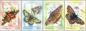 Butterflies and Moths (2004)