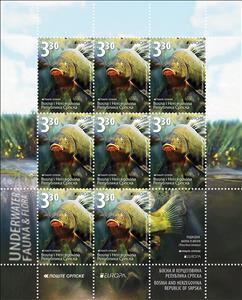 Full Pane, Europa (C.E.P.T.) 2024 - Underwater Flora and Fauna, Bosnia and Herzegovina, Serbian Admin,  , C.E.P.T. / Europe, Fishes