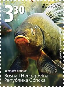 Europa (C.E.P.T.) 2024 - Underwater Flora and Fauna