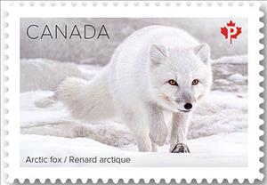Stamp, Arctic fox (Vulpes lagopus), Canada,  , Animals (Fauna), Foxes, Mammals