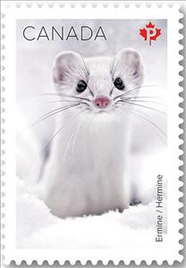 Stamp, Ermine (Mustela erminea), Canada,  , Animals (Fauna), Mammals