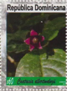 National Botanic Gardens : Flora and Botanists