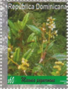 Stamp, National Botanic Gardens : Flora and Botanists, Dominican Republic,  , Plants (Flora)