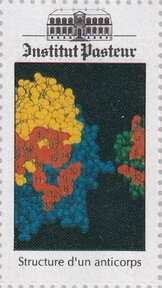 Institut Pasteur. Antibody Structure
