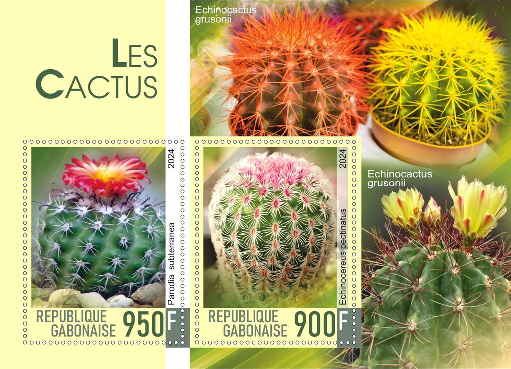 Cactus