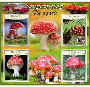 Mini Sheet, Mushrooms Fly agaric, Rwanda,  , Mushrooms