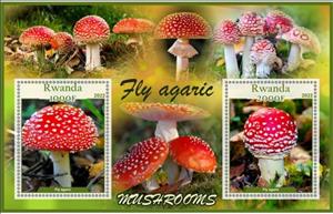 Mini Sheet, Mushrooms Fly agaric, Rwanda,  , Mushrooms