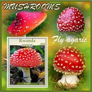 Souvenir Sheet, Mushrooms Fly agaric, Rwanda,  , Mushrooms
