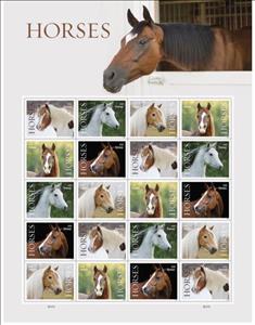 Full Pane, Horses of the USA, United States of America,  , Animals (Fauna), Horses