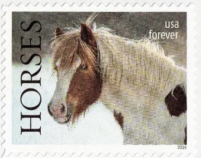 The Horse