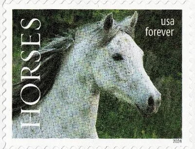 The Horse