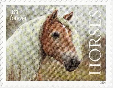 The Horse