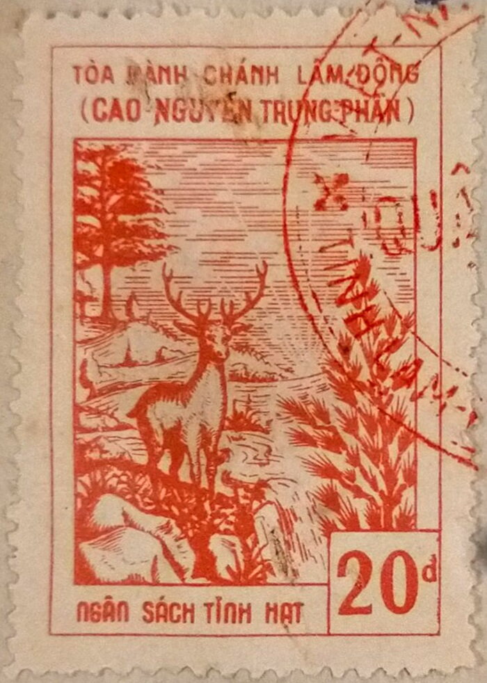 Deer