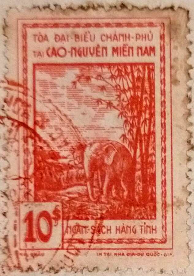 Elephant