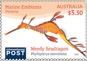 Weedy Seadragon (Phyllopteryx taeniolatus)