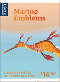 Weedy Seadragon (Phyllopteryx taeniolatus)