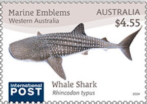 Whale Shark (Rhincodon typus)
