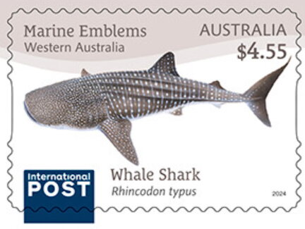 Whale Shark (Rhincodon typus)