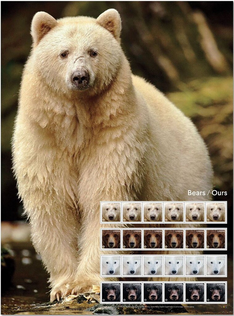 Bears