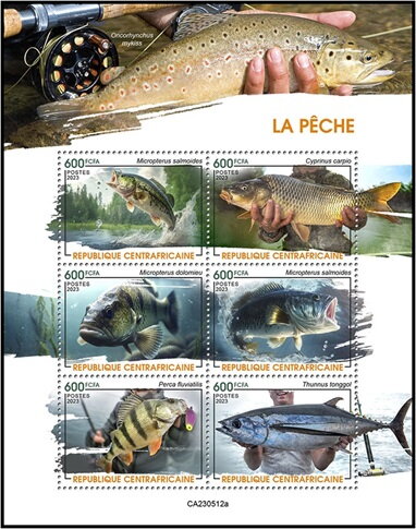Fishing