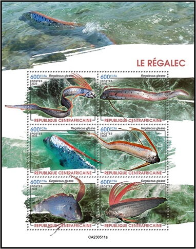 Giant Oarfish