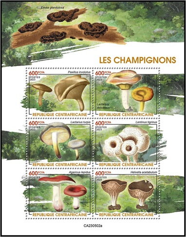 Mushrooms