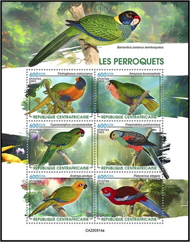 Parrots