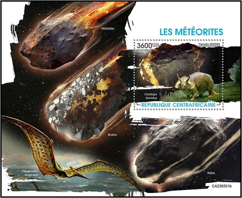 Yamato 000593 and Ceratops horridus