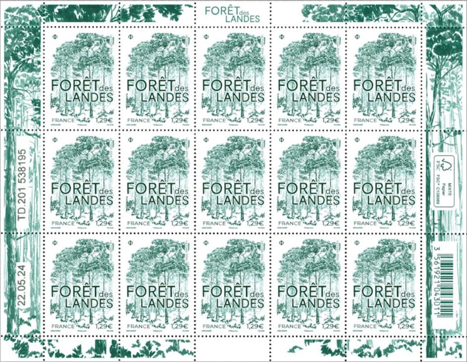 The Landes forest