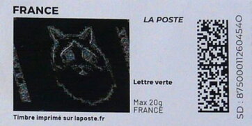 Drawing of cat; white on black