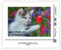 Stamp, Kitten and Flower, France,  , Animals (Fauna), Cats, Mammals