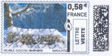 Stamp, Stack of Fire Wood logs in the snow, France,  , Snow, Trees, Winter