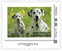 Stamp, Two Dalmatians, France,  , Animals (Fauna), Dogs, Mammals