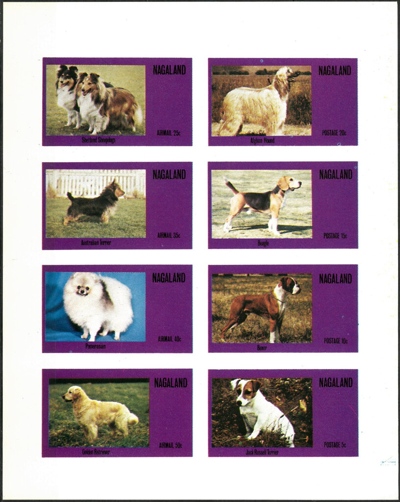 Dogs