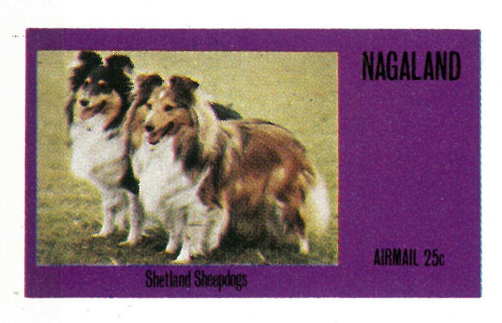 Dogs