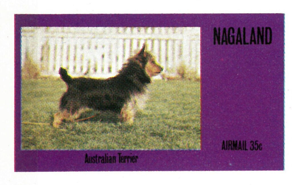 Dogs