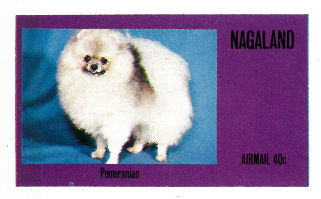 Dogs