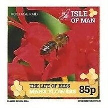 Bee