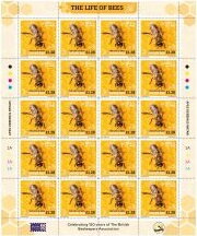 Full Pane, Drone Bee, Isle of Man,  , Animals (Fauna), Bees, Insects