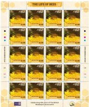 Full Pane, Pollination, Isle of Man,  , Animals (Fauna), Bees, Insects