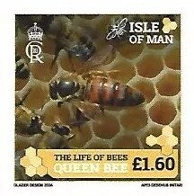 Queen Bee