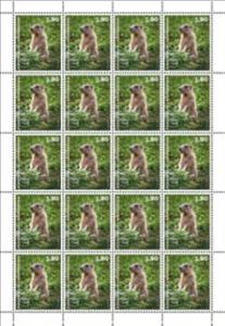 Full Pane, Marmots (Marmota), Liechtenstein,  , Animals (Fauna), Mammals