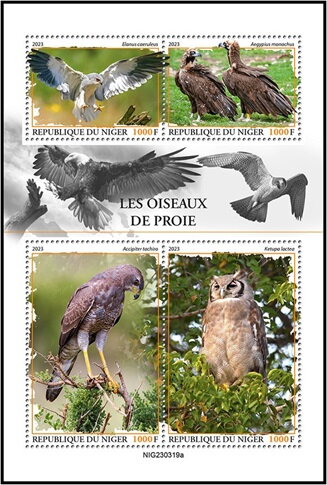 Birds of Prey