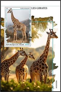 Souvenir Sheet, Giraffa camelopardalis, Niger,  , Animals (Fauna), Giraffes